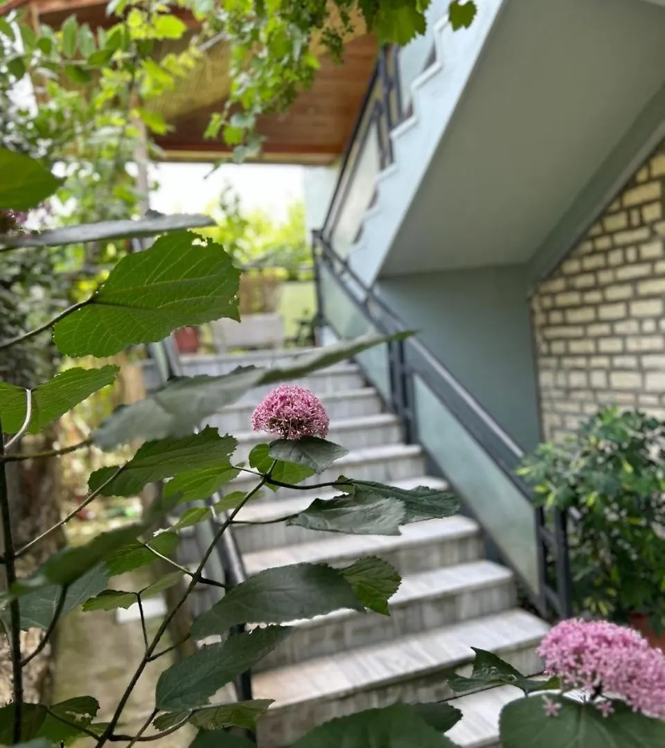 Guesthouse Katerina Berat 0*,  Albanien
