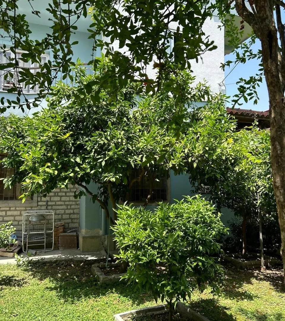 Guesthouse Katerina Berat